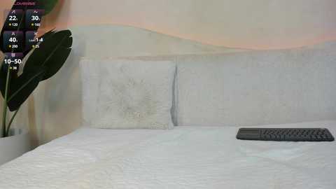 Video of a white bed with a textured headboard and a gray remote control on the pillow, set against a pastel-colored wall. A green leafy plant stands in the corner.