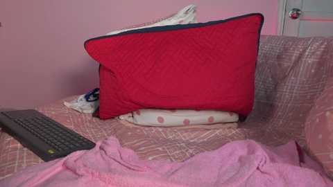 Media: Video of a cozy bedroom with a red pillow, a white pillow with pink polka dots, a pink blanket, and a black keyboard on a pink plaid bedspread, set against pink walls.