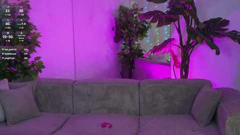 Media: Video of a dimly lit living room with a gray couch, green houseplants, and purple lighting.