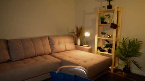 Media: Video of a cozy living room with a pink L-shaped sofa, wooden shelving unit filled with plants, and a glass chair.