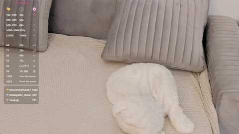 Video of a beige sofa with a fluffy white dog curled up in the corner, surrounded by gray and beige textured pillows.