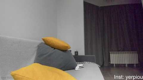 Media: Video of a modern bedroom with a gray couch, a gray pillow, a mustard-yellow pillow, and gray curtains. A white radiator is visible in the background.