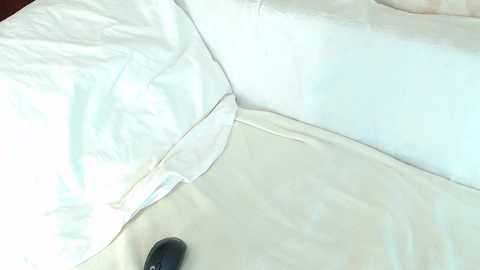 sofia_here free recording from 2025-01-20 10:34:00