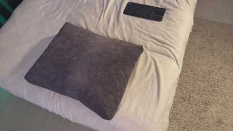 Video of a beige, plush pillow on a light-colored bedspread, with a black TV remote control lying beside it. The background features a carpeted floor and a green object partially visible.