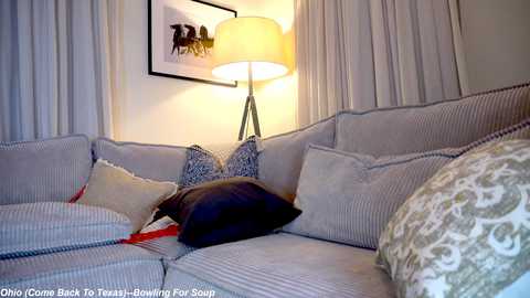 Video of a cozy, modern living room with a light gray sectional sofa adorned with various pillows and a beige lampshade, set against white curtains.