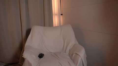 Video of a white armchair covered in a white sheet with a dark object on the seat, surrounded by beige curtains and a dimly lit wall.