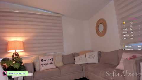 Media: Video of a modern living room with a grey sectional sofa, striped window blinds, a wooden round mirror, and a table lamp with a beige shade.