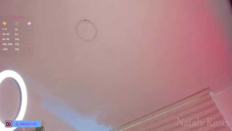 A video of a dimly lit, pink-tinged bathroom ceiling with a round light fixture and a prominent circular mirror. The background features a blue and pink gradient, and the image is watermarked with \"NudelyRivaz.\