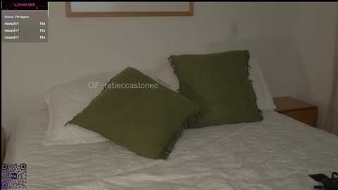 Video of a dimly lit bedroom with a white bed, two green pillows, and a small wooden nightstand.