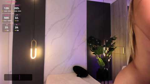 Media: Video of a modern, dimly-lit bedroom with a white marble wall, black furniture, a potted plant, and a nude person's shoulder visible in the foreground.