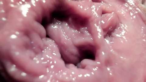 Media: Video of a close-up view of a human mouth, showing the inner soft tissue, tongue, and teeth, with a pinkish hue and moist texture. The image is focused on the detailed anatomy of the oral cavity.