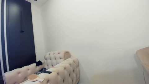 Media: Video of a minimalist, modern bedroom with beige tufted headboard sofa, white walls, and black door. A small, round, light-colored table holds a black remote control and a white cup.