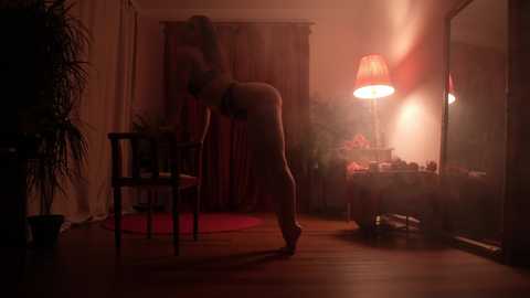 Media: A dimly lit video captures a nude woman bending over a table, illuminated by a red lamp. The room has a cluttered, intimate atmosphere with a potted plant and a mirror reflecting a messy desk.