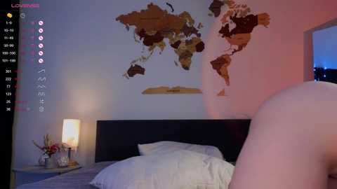 Video of a dimly lit bedroom with a white bed, wooden headboard, and a large world map mural on the wall. A lamp with a white shade sits on a nightstand, and a blurred figure, possibly nude, is partially visible.