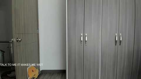 Video of a modern, minimalist bedroom with grey wood panel wardrobes and a white door, featuring a wooden floor and a metal railing. Text overlay reads \"MATERIAL MAKES ME WET.\