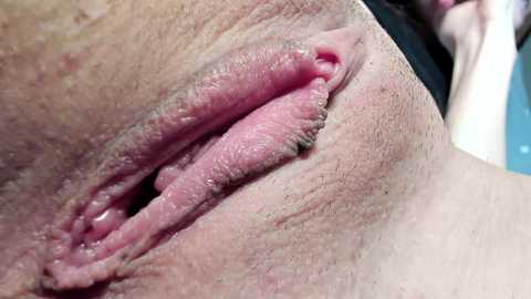 Media: Close-up video of a woman's vulva, showing detailed pink inner lips and labia, with visible pubic hair and skin texture. Background blurred, showing hints of clothing.