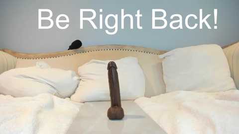 Media: A video of a neatly made bed with white sheets and pillows, featuring a dark wooden dildo centered prominently. The background is a light blue wall with white text that reads, \"Be Right Back!\
