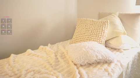 Media: Video of a neatly made bed with cream-colored bedding, a textured white pillow, and a fluffy cream blanket. The beige walls and a light switch are visible in the background.