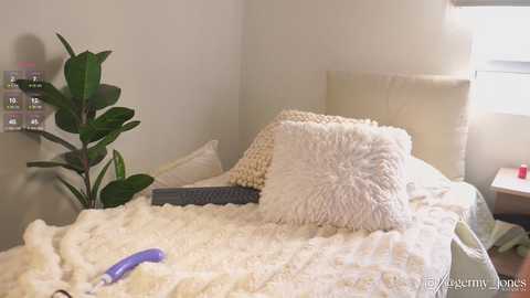 Media: A cozy, well-lit bedroom featuring a plush, cream-colored bed with a soft, textured blanket and two matching pillows, a small potted plant, and a purple vibrator on the bed.