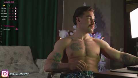 Media: A muscular, shirtless man with tattoos sits at a desk in a dimly lit room, wearing plaid shorts. The background includes a green curtain, Christmas tree, and a white couch.