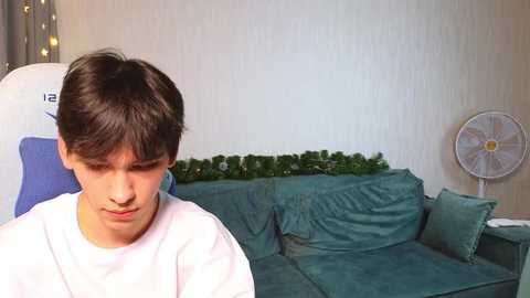 Media: Video of a young boy with short brown hair, wearing a white T-shirt, seated in front of a green couch with a plant in a pot on the backrest. A ceiling fan and a blue chair are visible in the background.