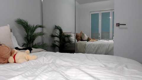 Media: Video of a minimalist, modern bedroom with a white bed, plush toy, green plant, and mirrored wall reflecting a twin bed with beige pillows.