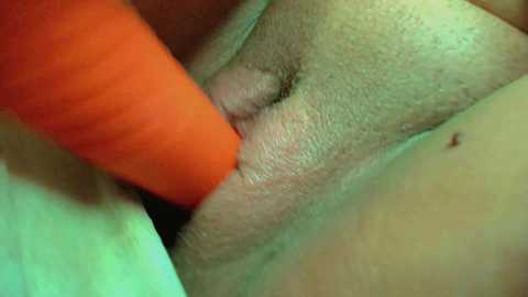 Media: Close-up video of a light-skinned person's vulva, with a bright orange carrot inserted into the vagina, creating a vivid contrast between the natural skin and the artificial object. The image is explicit and focused on the intimate details.