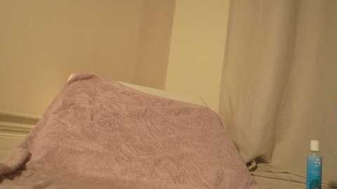 Media: Video of a beige towel draped over a white pillow on a bed, with a blue hand sanitizer bottle on the right side. The background features cream-colored walls and curtains.