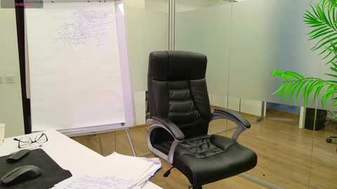 Media: A modern office with a black leather executive chair, whiteboard, glass partition, and green potted plant.