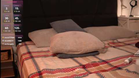 Media: Video of a neatly made bed with a beige headboard, plaid duvet, and gray pillows, set in a cozy bedroom.