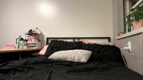 Media: Video of a messy bedroom with a black bed, gray pillow, and black comforter. A small white plant sits on a windowsill. A cluttered desk with various items is visible on the left side.