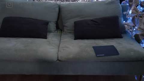 Media: Video of a worn, light green fabric sofa with two dark brown cushions, a black laptop on the cushion, and a blurred, festive background with twinkling lights.