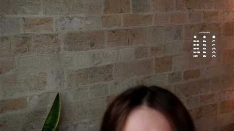 Media: Video of a brick wall with a green plant on the left and a person's face partially visible, with text \"LIVE\" and icons in the top right corner.