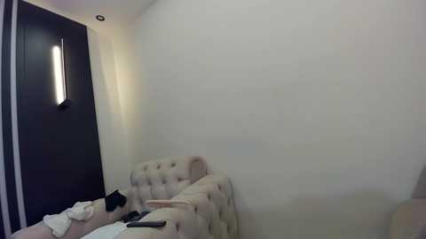 Media: A video of a modern, minimalist bedroom with a beige tufted headboard, black door, and a wall-mounted vertical light fixture.