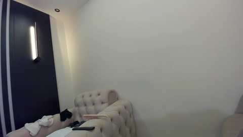 Media: A video of a modern, minimalist bedroom with a beige, tufted headboard, black door, and a white wall with a rectangular light fixture. A black cat sits on the bed, and a remote control is visible.