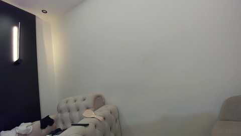 Media: Video of a dimly lit, sparsely furnished room with a beige tufted couch, white wall, and black wall on the left, with a modern vertical light fixture.