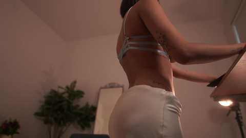 Media: Video of a woman in a white bra and tight white pants, with a mirror in the background, standing in a dimly lit room with a potted plant.