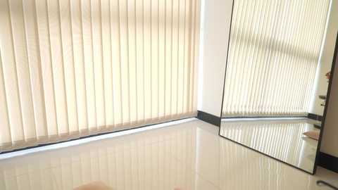 Media: Video of a modern, minimalist room with beige vertical blinds covering a window, glossy white tiles on the floor, and a mirror reflecting the blinds. The room has a clean, neutral color scheme.