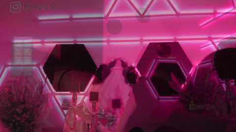 Media: Video of a modern bar with hexagonal LED lighting in pink and purple hues. The bar features glass bottles and a floral arrangement. A person's hand is visible in the background.