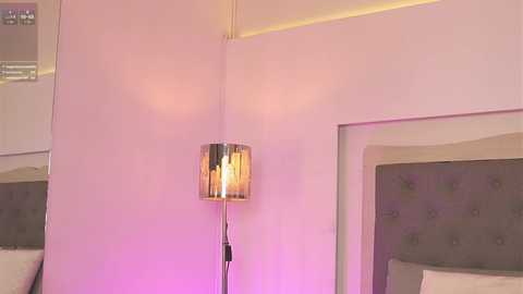 Media: Video of a minimalist bedroom corner featuring a tufted gray headboard, a modern metallic lamp with a cylindrical shade, and a soft pink glow on the wall.