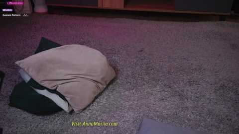 Media: Video of a beige cushion on a gray carpet, with a green pillow and a black cushion visible. The background features a wooden shelf and a purple light.