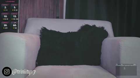 Media: Video of a cozy, dimly lit living room with a plush, light pink armchair adorned with a black, fringed pillow. The background features dark curtains and a digital clock display.