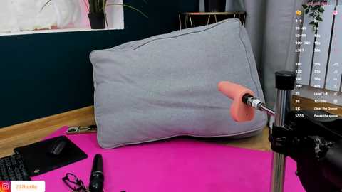 Media: Video of a grey cushion with a dildo-like object inserted, placed on a pink yoga mat in a dimly lit room with a potted plant and various sex toys.