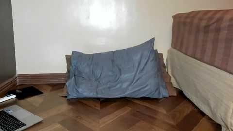 Media: A video of a bedroom corner with a blue pillow on the wooden parquet floor, a laptop open on the left, and a bed with a beige bedspread and a brown blanket on the right.