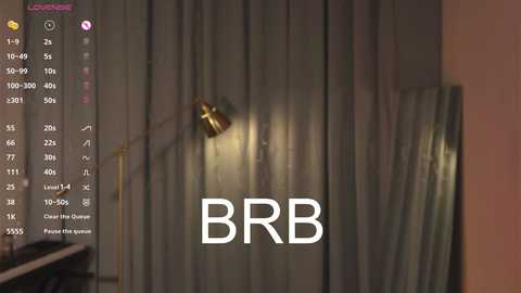 Media: A dimly lit video of a room with a metallic gold light fixture on a dark curtain, displaying the text \"BBR\" in white letters.