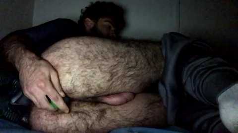 Media: Video of a man with dark hair, fair skin, and a beard, lying on a bed, holding his hairy, flaccid penis.