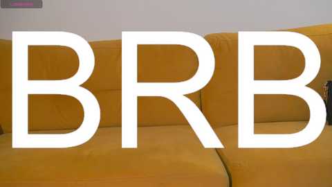 Media: A video of a mustard-yellow sectional sofa with a clean, modern design, featuring the words \"BBR\" in bold, white, sans-serif font superimposed over the sofa.