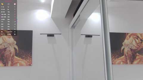 Media: Video of a modern bathroom with white walls, a mirror, and a large, colorful mural of a lioness on the left side. The room is well-lit with recessed ceiling lights.