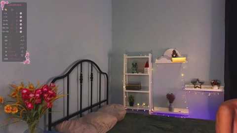 Media: A video of a minimalist, modern bedroom with a black metal bed frame, a white bookshelf, a hanging plant, and a small table with decorative items against a pale blue wall.