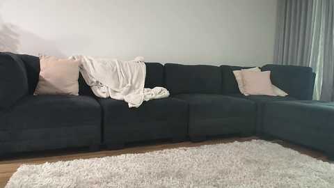 Media: A video of a modern living room with a dark gray sectional sofa, two beige pillows, and a white blanket draped over the backrest. The floor is wooden, and a fluffy white rug lies in front of the sofa.